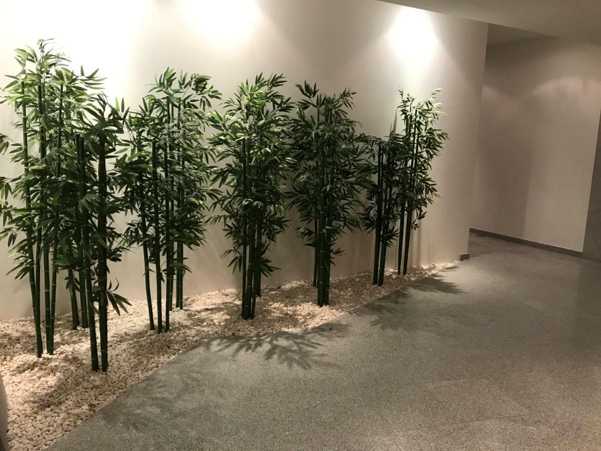 Ferienwohnung Trajadinha Vila Praia de Âncora Exterior foto